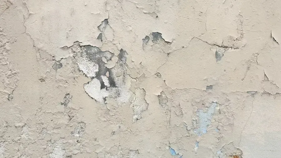 Cladding Warning Signs Before Costly Repairs